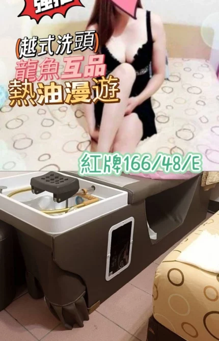 台中定點茶-紅牌/166/48/25/E