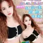 高雄定點茶-小布點/153/40/21/B