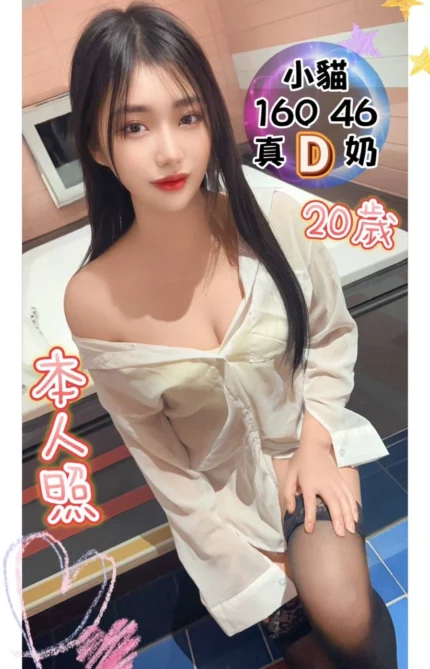 台中定點茶-小貓/160/46/20/D