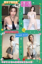 屏東定點茶-穩穩/162/50/?/D