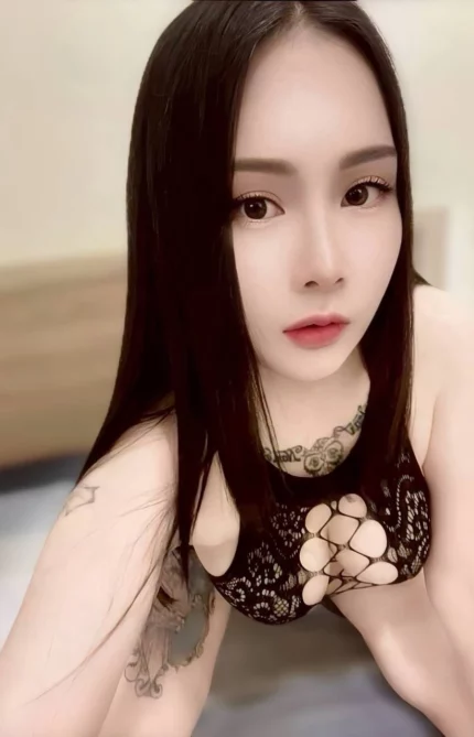 澎湖定點茶-芷若/160/48/?/E