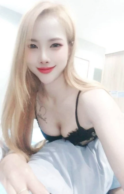 雲林定點茶-春杏/165/49/24/C