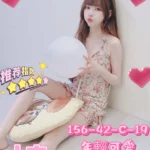 高雄外送茶-小安/156/42/19/C