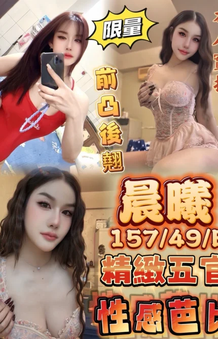 台南定點茶-晨曦/157/49/27/E