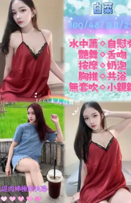 新北定點茶-白菜/160/48/21/B