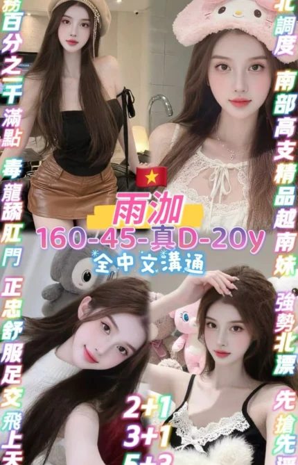 桃園定點茶-雨泇/160/45/20/D