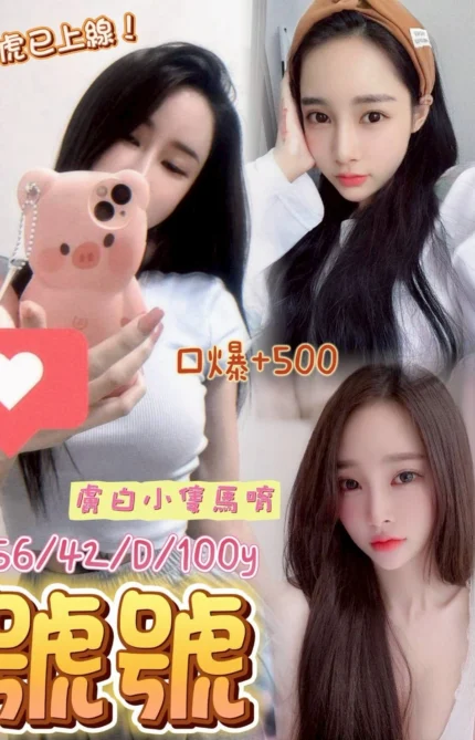 桃園定點茶-號號/156/42/?/D