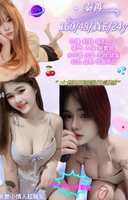 新北定點茶-秦苒/160/48/24/E