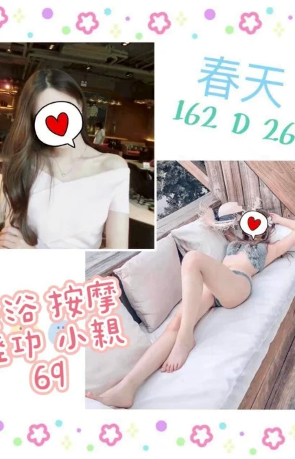 台北定點茶-春天/162/?/26/D