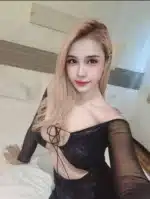 南投定點茶-妮娜/164/49/26/E