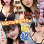 新竹定點茶-甜妞/155/43/?/D