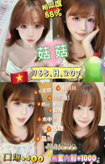 台北定點茶-菇菇/165/50/20/H