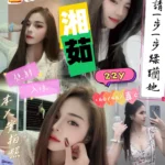 新竹定點茶-湘茹/160/46/22/C