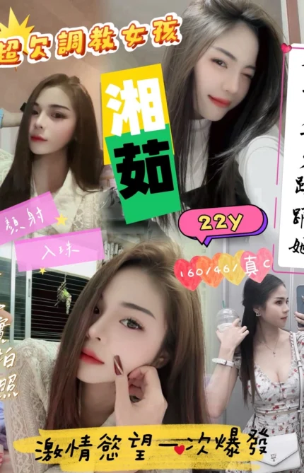 新竹定點茶-湘茹/160/46/22/C