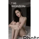 嘉義定點茶-T60/160/46/26/D