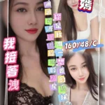 桃園定點茶-梓嫣/160/48/?/C