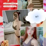 台中定點茶-桃子/153/42/23/B