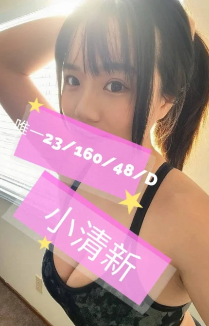 桃園外送茶-唯一/160/48/23/D