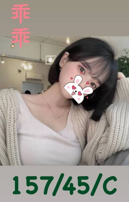 台南外送茶-乖乖/157/45/23/C