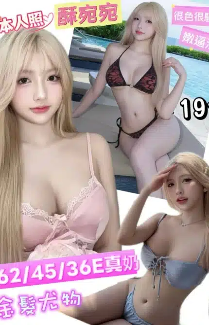 台南定點茶-酥宛宛/162/45/19/E