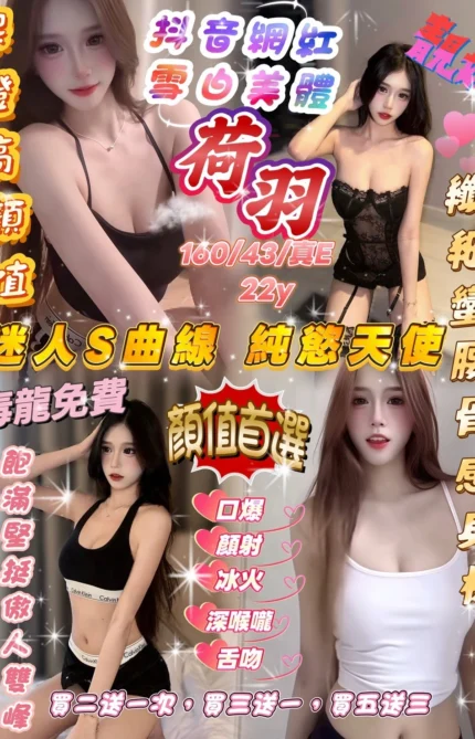 新竹定點茶-荷羽/160/43/22/E