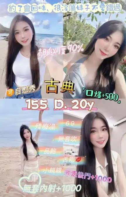 台北定點茶-古典/155/45/20/D