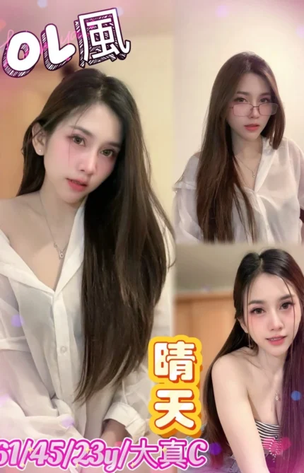 台北定點茶-晴天/161/45/23/C