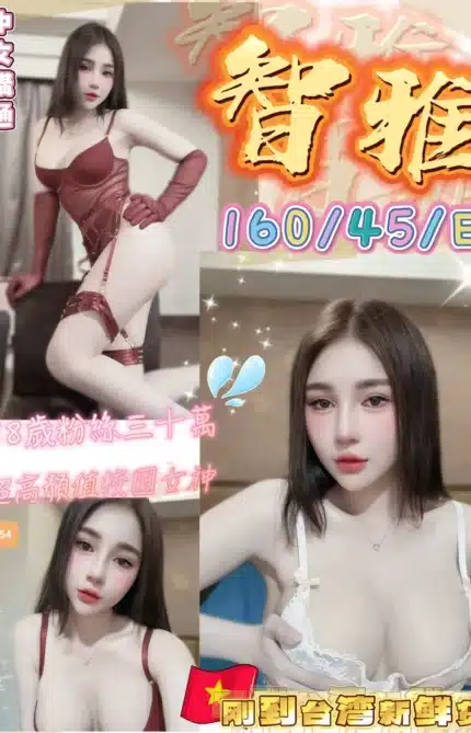 台中定點茶-智雅/160/45/18/E