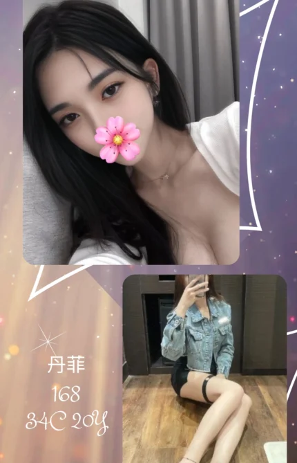 台北外送茶-丹菲/168/?/20/C