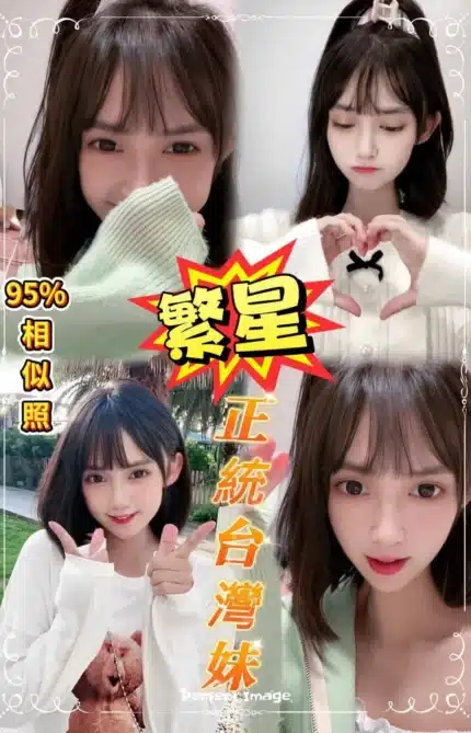 新北定點茶-繁星/162/45/24/C