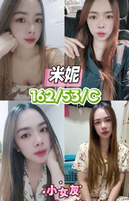 台中定點茶-米妮/162/53/22/C