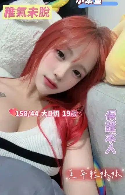 台南定點茶-小笨蛋/158/44/19/D