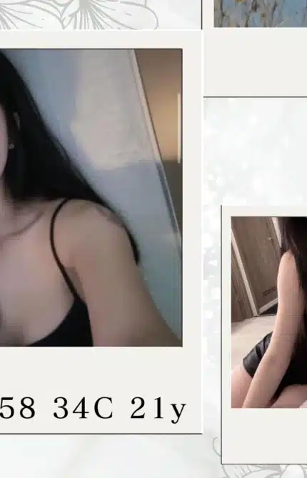 台北外送茶-比菲多/158/?/21/C