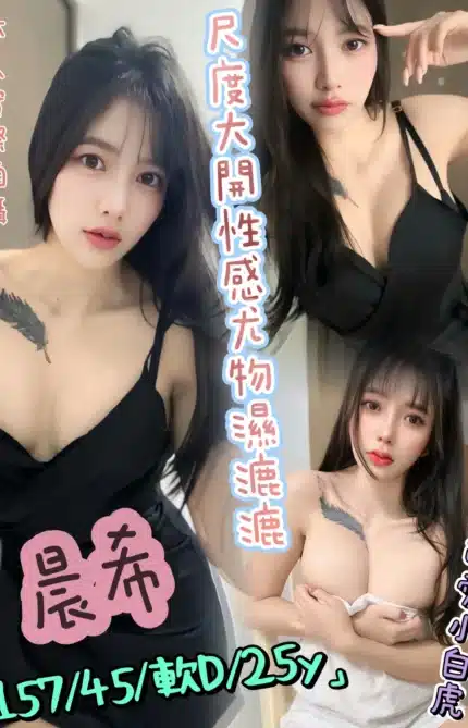 台北定點茶-晨希/157/45/25/D