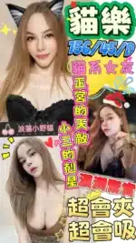 澎湖定點茶-貓樂/156/45/?/D