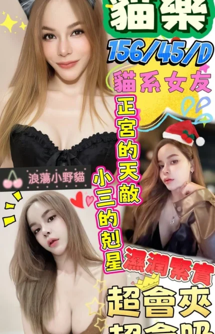 澎湖定點茶-貓樂/156/45/?/D