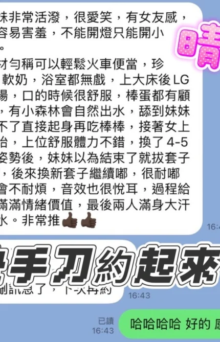 台北定點茶-晴天/161/45/21/D