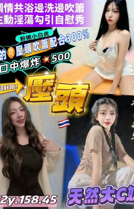 桃園定點茶-壓頭/158/45/22/C