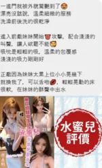 台南定點茶-水蜜兒/165/46/21/E