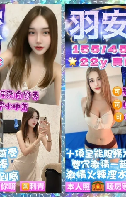 桃園定點茶-羽安/155/45/22/D