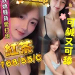 屏東定點茶-紅茶/168/55/?/C