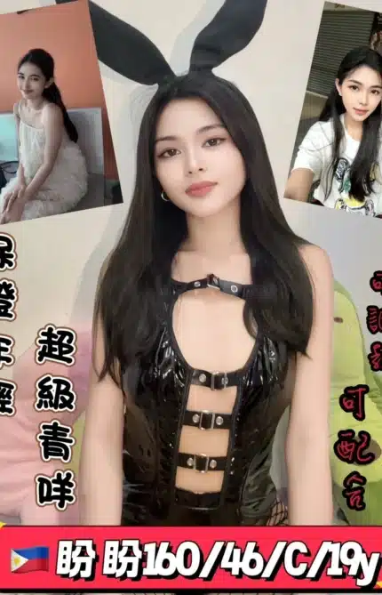 新北定點茶-盼盼/160/46/19/C