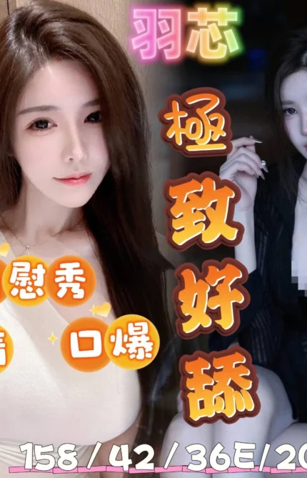 台南定點茶-羽芯/158/42/20/E