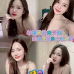 新北定點茶-糖霜/160/47/22/C