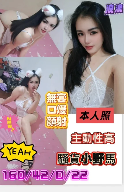 台南定點茶-浪浪/160/42/22/D