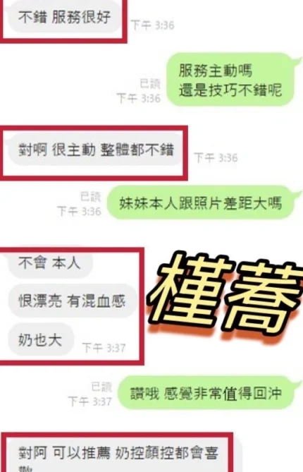 彰化定點茶-槿蕎/155/45/21/G