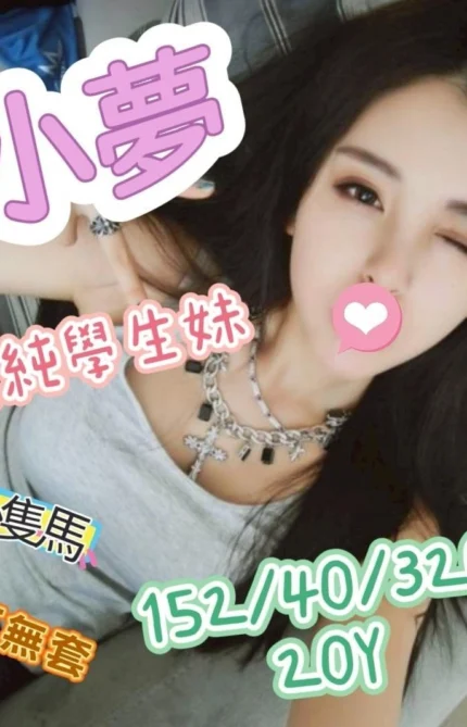 嘉義外送茶-小夢/152/40/20/C