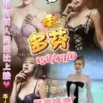 澎湖定點茶-多芬/158/47/?/D