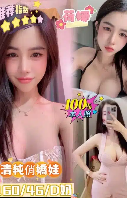 嘉義定點茶-荷娜/160/46/23/D