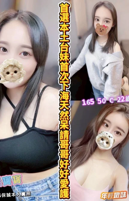 嘉義定點茶,外送茶-熊寶寶/165/50/22/C